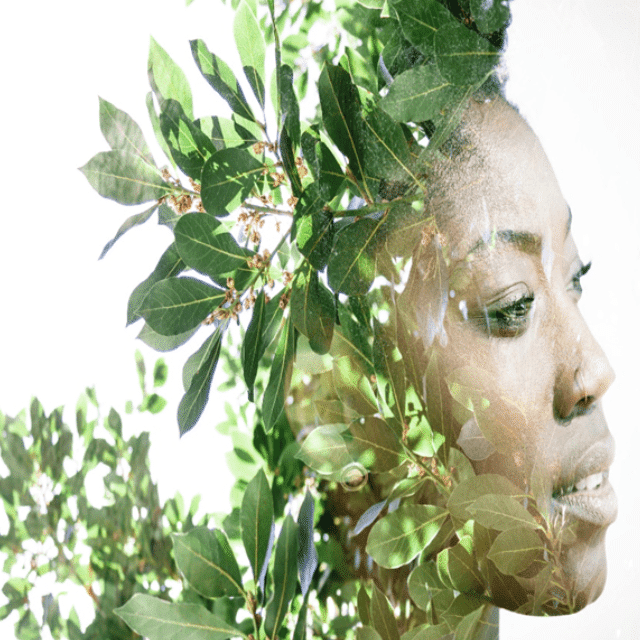 Tree of Life: The face of an African American woman with green foliage where he hair would be