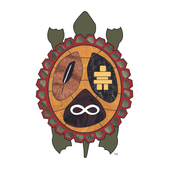 Turtle with symbols on its shell: feather, infinity sign, inukshuk