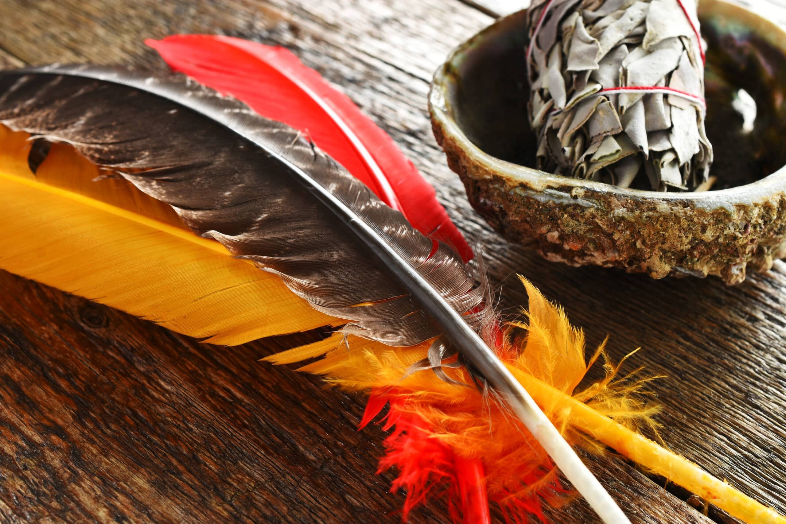 Feathers next to a bowl of white sage.