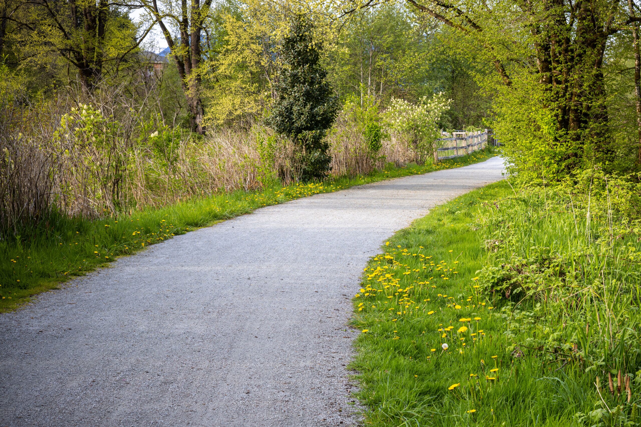 A walking path