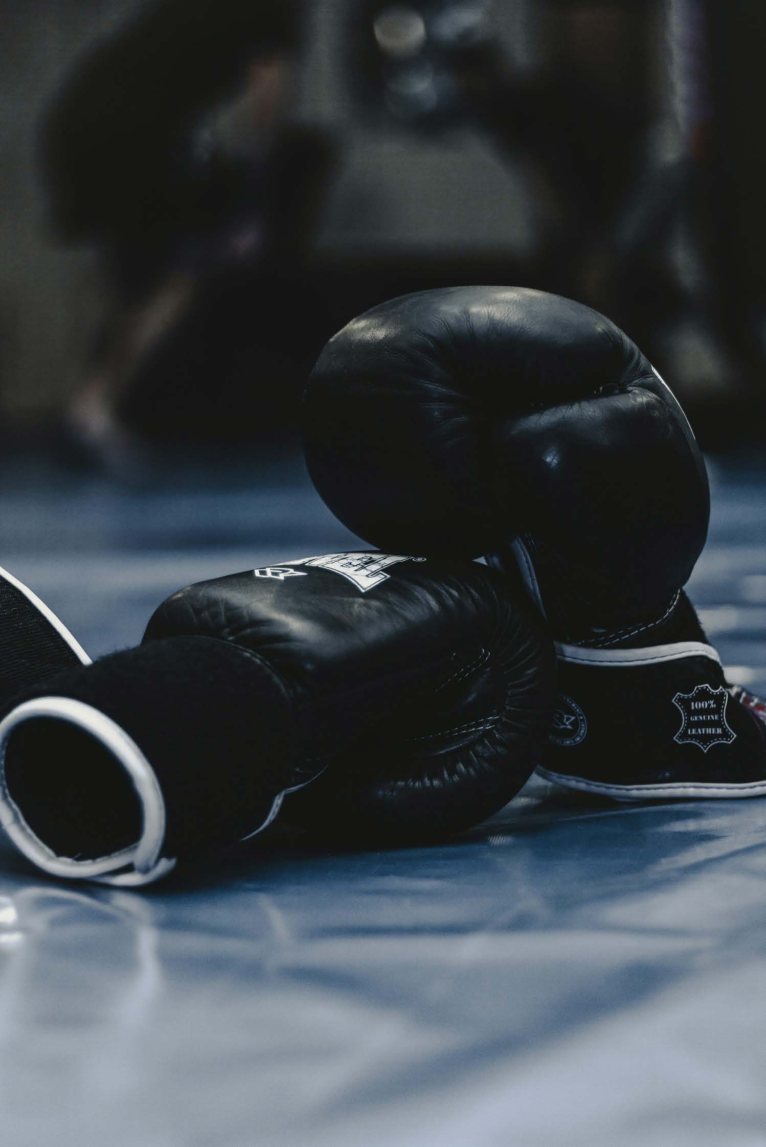 A pair of black boxing gloves.