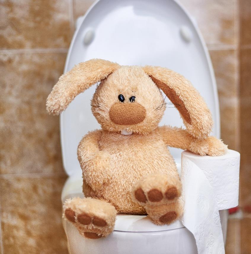 A stuffed bunny sitting on the toilet holding a roll of toilet paper.