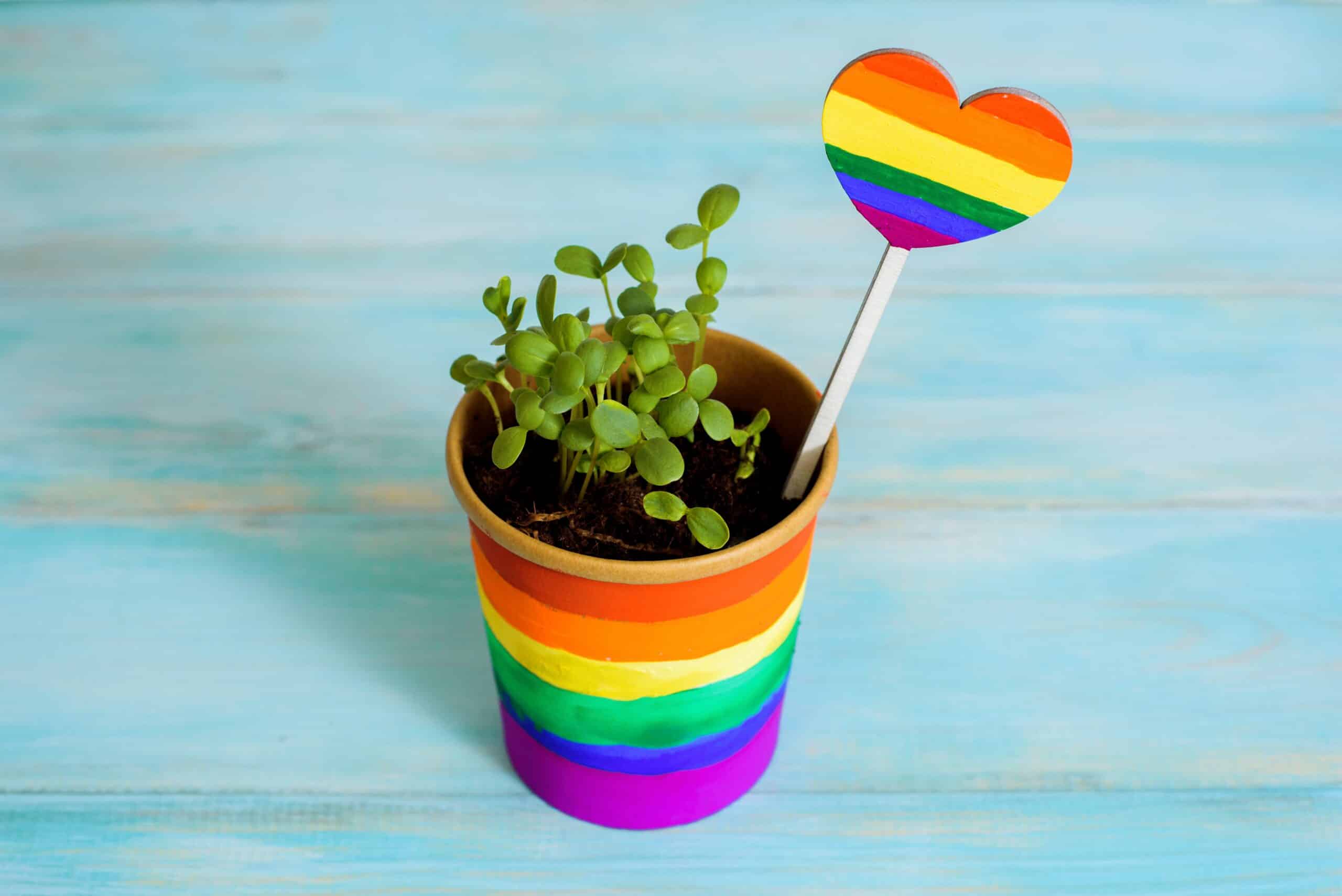 Flag rainbow symbol of lesbian, gay, bisexual. prad gay, freedom. multi-colored paints. rainbow. love and colorful bright flower. pot with sprouts. blue background