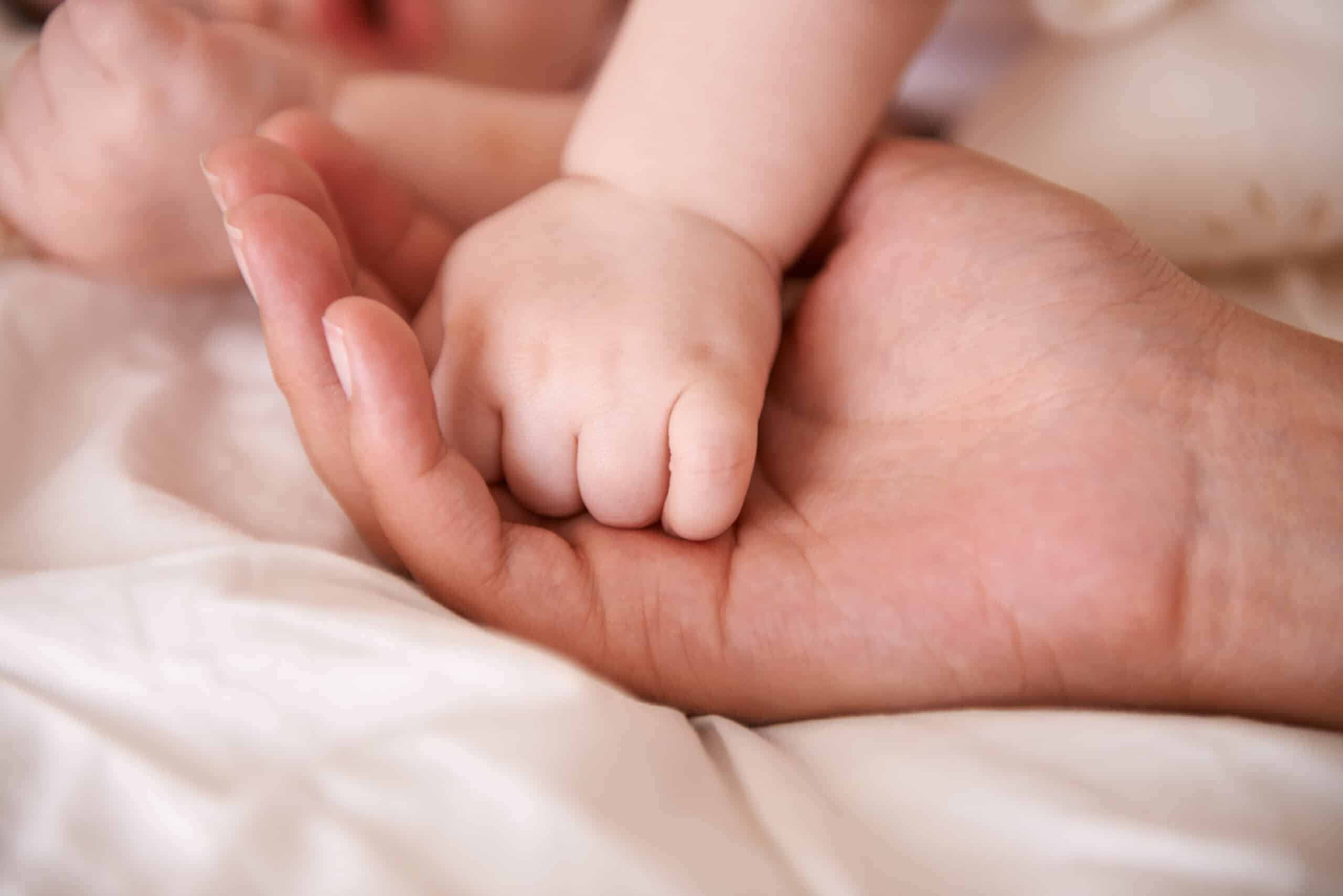 Baby hand in a larger hand