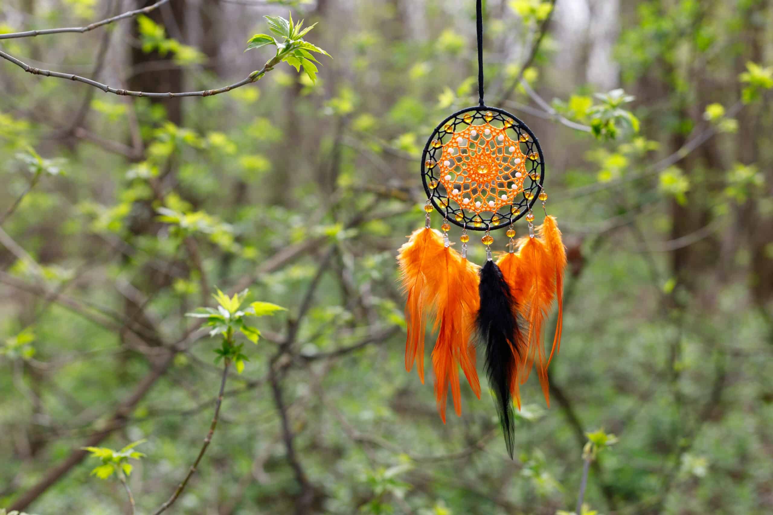 An eye-level shot shows an orange and black dream catcher hanging from a thin branch in a forest. The dream catcher has an orange center surrounded by a circle of black. Orange feathers and one black feather hang below. Small clear beads hang above the feathers. The forest is out of focus. The scene is set in daytime with natural lighting, creating a dreamy mood. This evocative photo would be a great addition to creative projects centered on relaxation, meditation, nature, and spirituality.